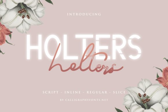 Holters: The Versatile Display Font for Campaigns