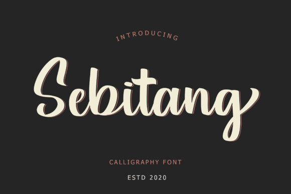 Sebitang: A Premium Script Font for Campaigns