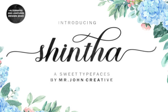Shintha Font: A Web Designer's Review for Digital Brands